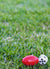 Mad for Footy dice and football counter resting on grass.